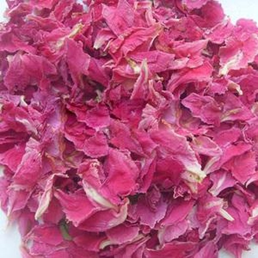 四季粉冠玫瑰花特写