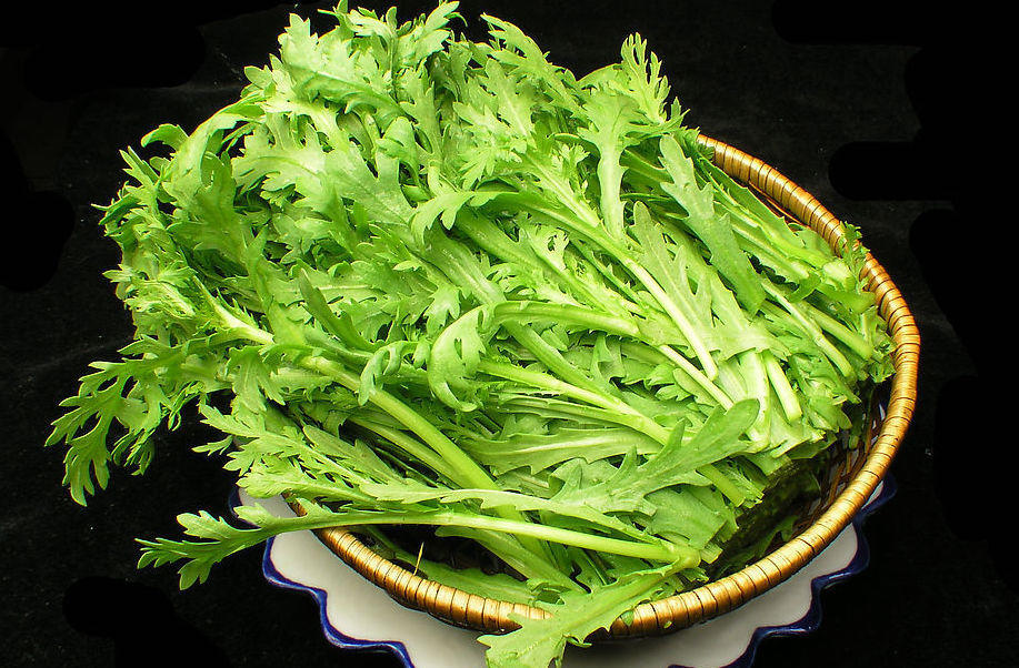 茼蒿与几种常见绿叶菜对比图