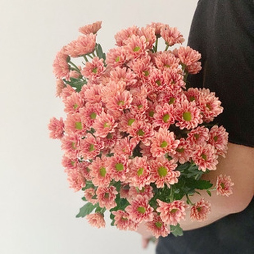 一位身穿素色棉麻衣裙的女性蹲在野菊花丛旁,右手轻轻托起一朵小黄花,鼻尖靠近花瓣闭眼轻嗅,神情宁静,周围是秋日旷野的萧瑟与温暖交织的光影 女子在野外轻嗅野菊花