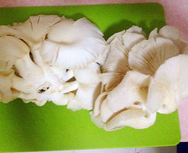 平菇多种做法拼图