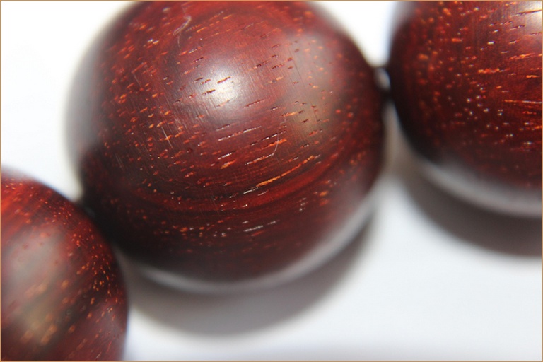 金花梨原木横切面特写