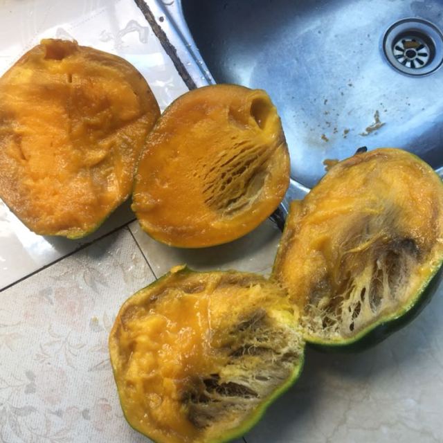 一个成熟的芒果被纵向切开,显示果核周围有明显的黑褐色坏死区域,果肉呈现不规则褐变条纹,部分区域已软化腐烂,背景为绿色叶片和健康芒果对比 芒果黑心病果剖面特写