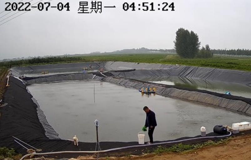 一名身穿雨衣的养殖户正在池边操作手持溶氧仪检测水质,身后有三台水车式增氧机正在运转,水面有明显水流扰动,天空阴云密布,显示为降雨环境中作业场景 养殖户在暴雨期间操作增氧机并检测水质