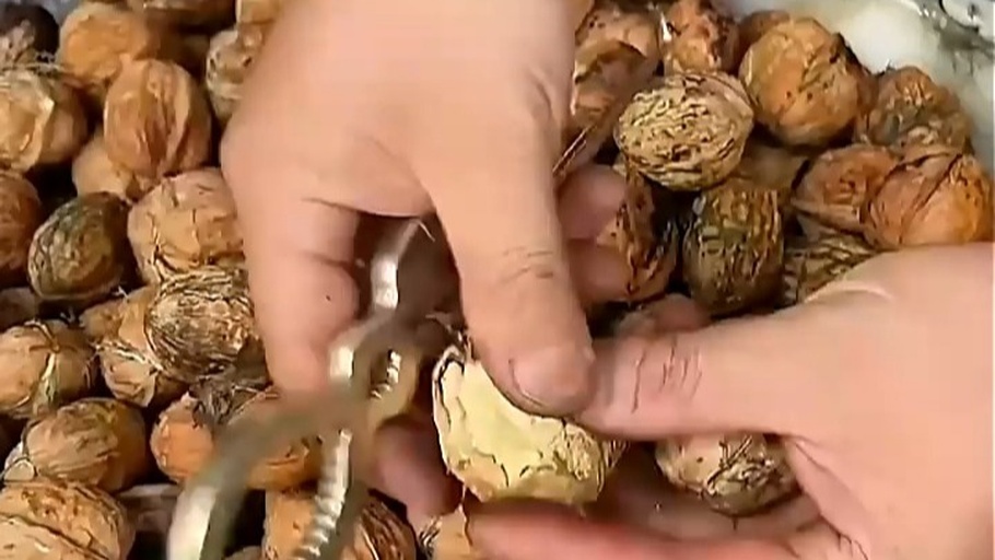家庭常用核桃工具组合图
