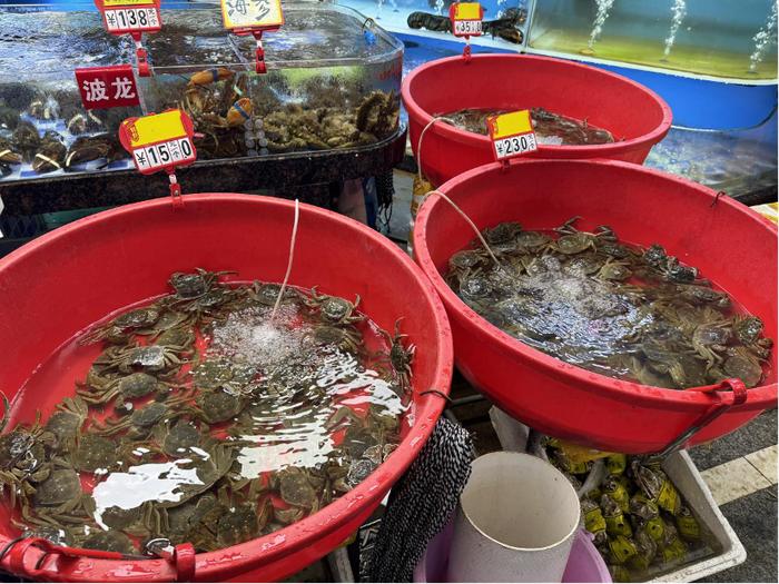 羊肚菌市场价格走势图表示意图