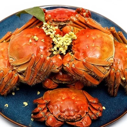 蒸锅中螃蟹与姜片摆放细节