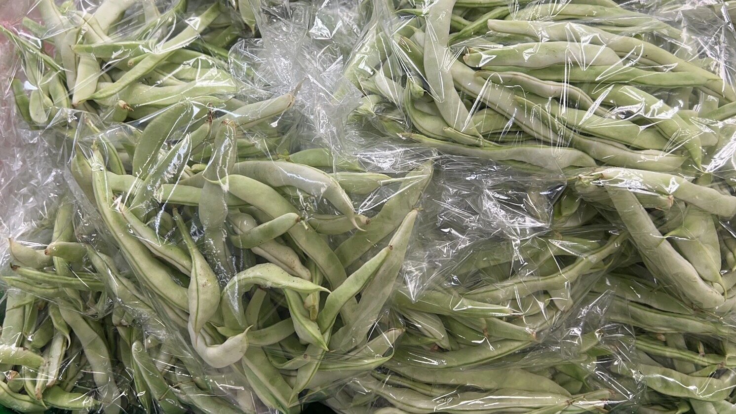 绿扁豆储存展示