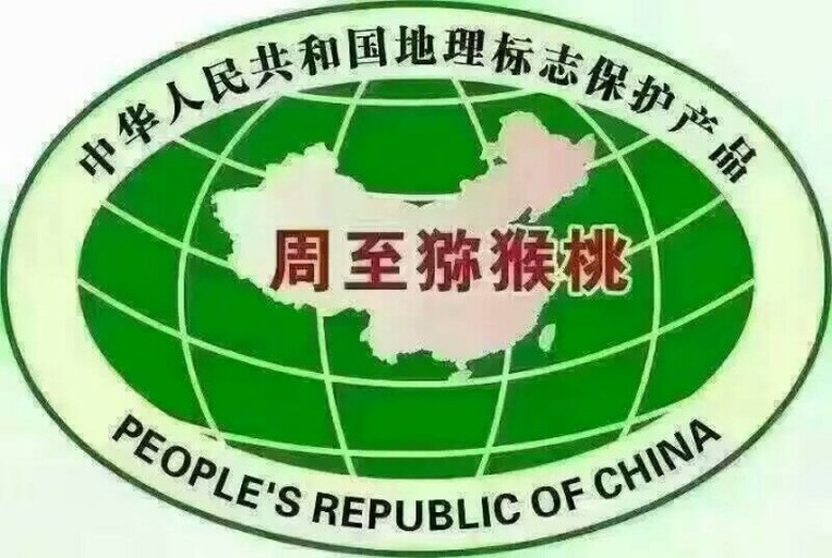 陕西猕猴桃主产区分布与上市时间对照地图