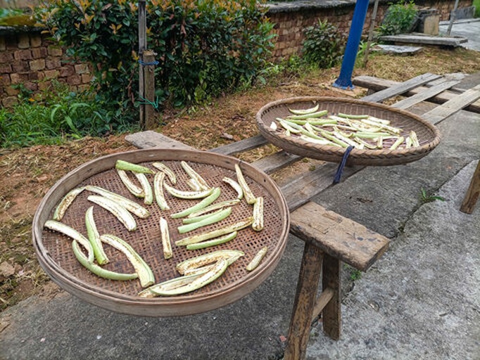 干燥茄子把柄特写，置于竹编托盘上