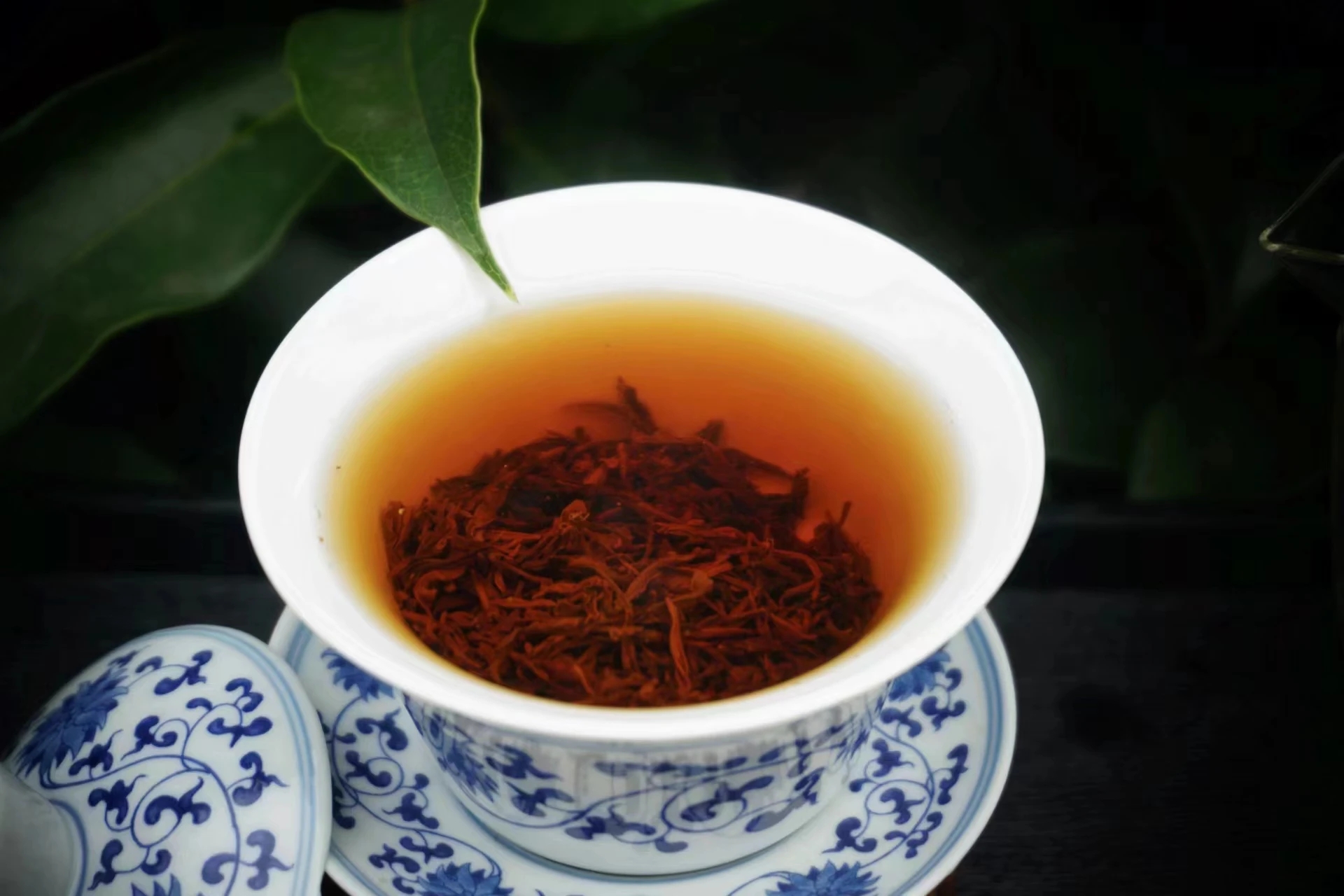 九曲红梅干茶特写