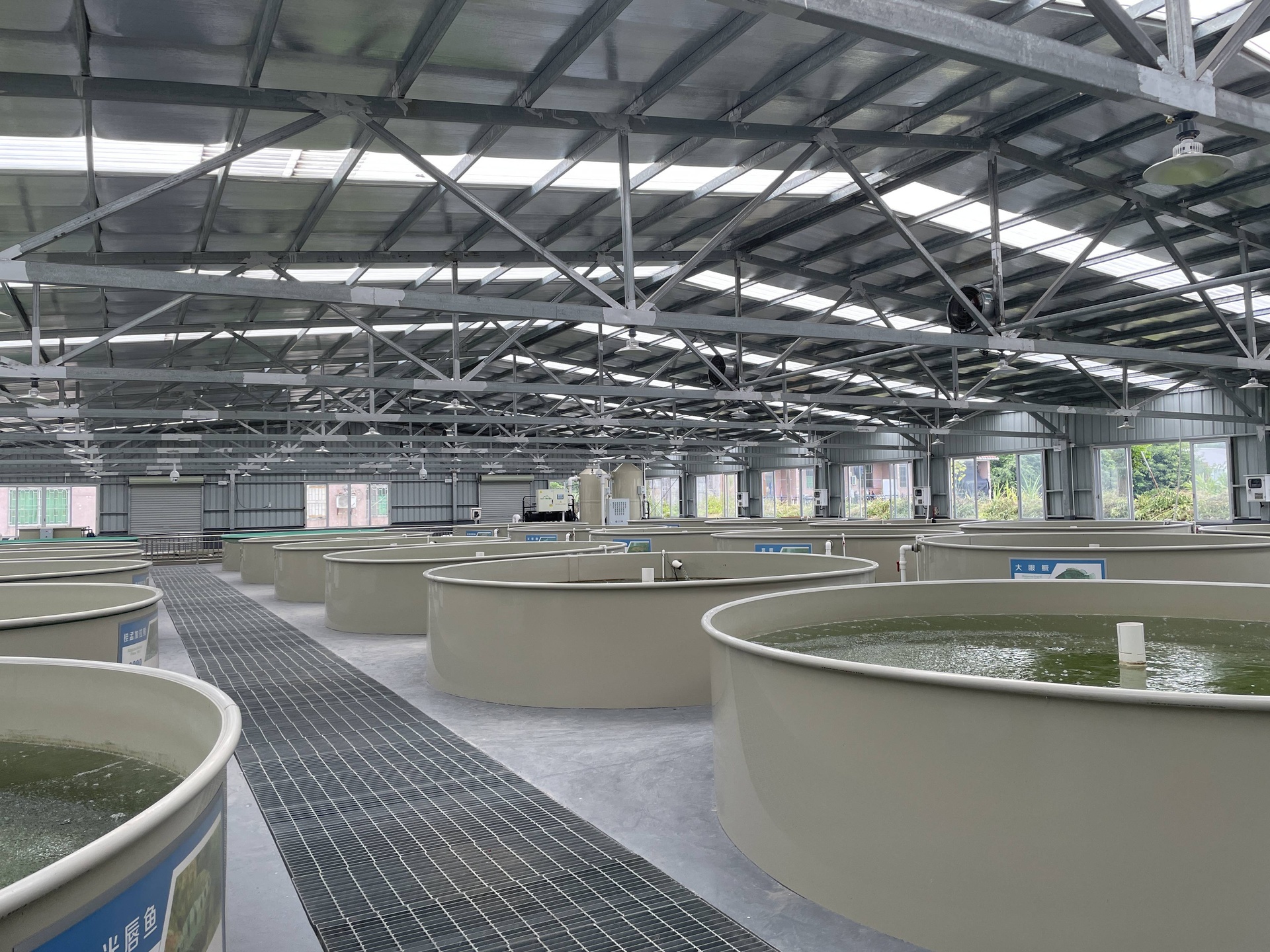 航拍视角下的大型多宝鱼养殖园区全景