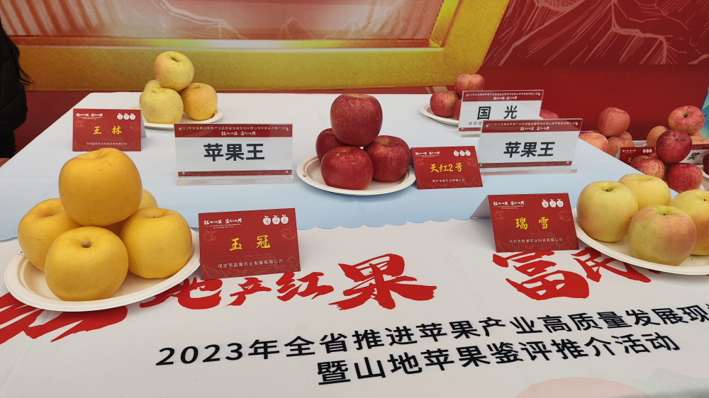 木质展台上摆放着不同规格的花牛山苹果礼盒,包括精品纸盒装、竹编提篮装,旁边配有苹果干、NFC果汁瓶、冻干苹果罐等衍生产品,整体风格自然简约,突出高端农产品品牌形象 花牛山苹果礼盒与深加工产品陈列图