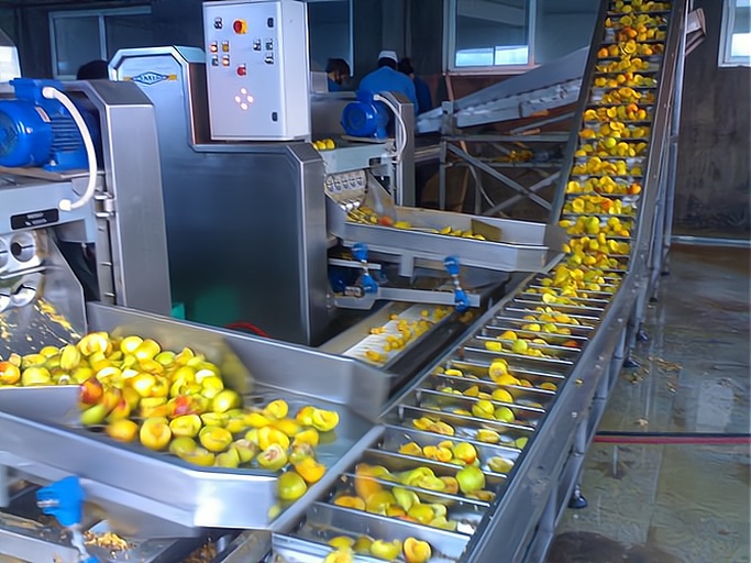 一条现代化的青皮核桃加工流水线,展示从原料输送、清洗去皮、漂白杀菌到自动分拣包装的全过程。设备包括不锈钢传送带、滚筒去皮机、喷淋清洗槽、紫外线消毒通道和电子称重分选机,工人正在监控操作面板,环境整洁明亮,体现规范化生产场景 青皮核桃加工生产线全景