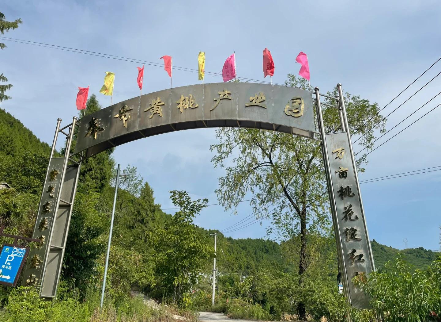 阜平黄桃基地航拍全景