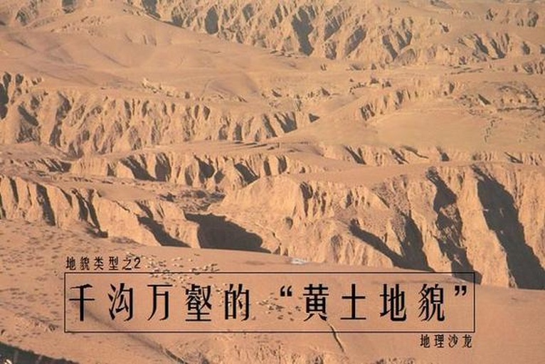 陕北黄土高原秋季景象,远处是沟壑地貌,近处一丛低矮带刺灌木上结满密集的红色浆果,背景有放牧的羊群和窑洞轮廓 陕北黄土高原上的野生灌木丛中挂满红色浆果