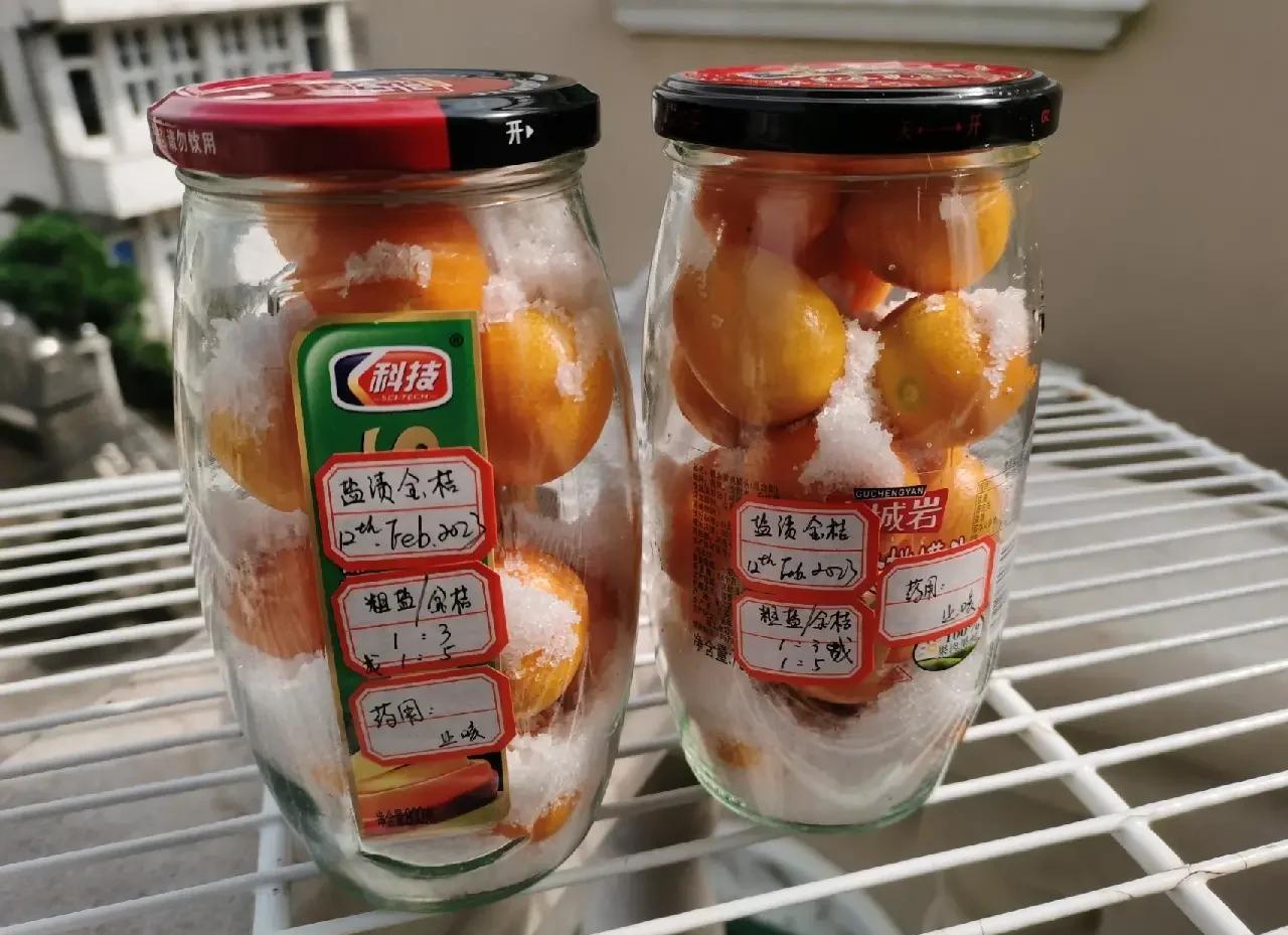 盐腌金桔不同年份对比