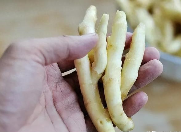 厨房中子姜与姜黄粉的应用场景图