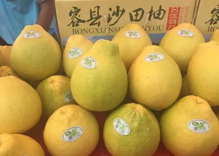 沙田柚文化旅游节现场