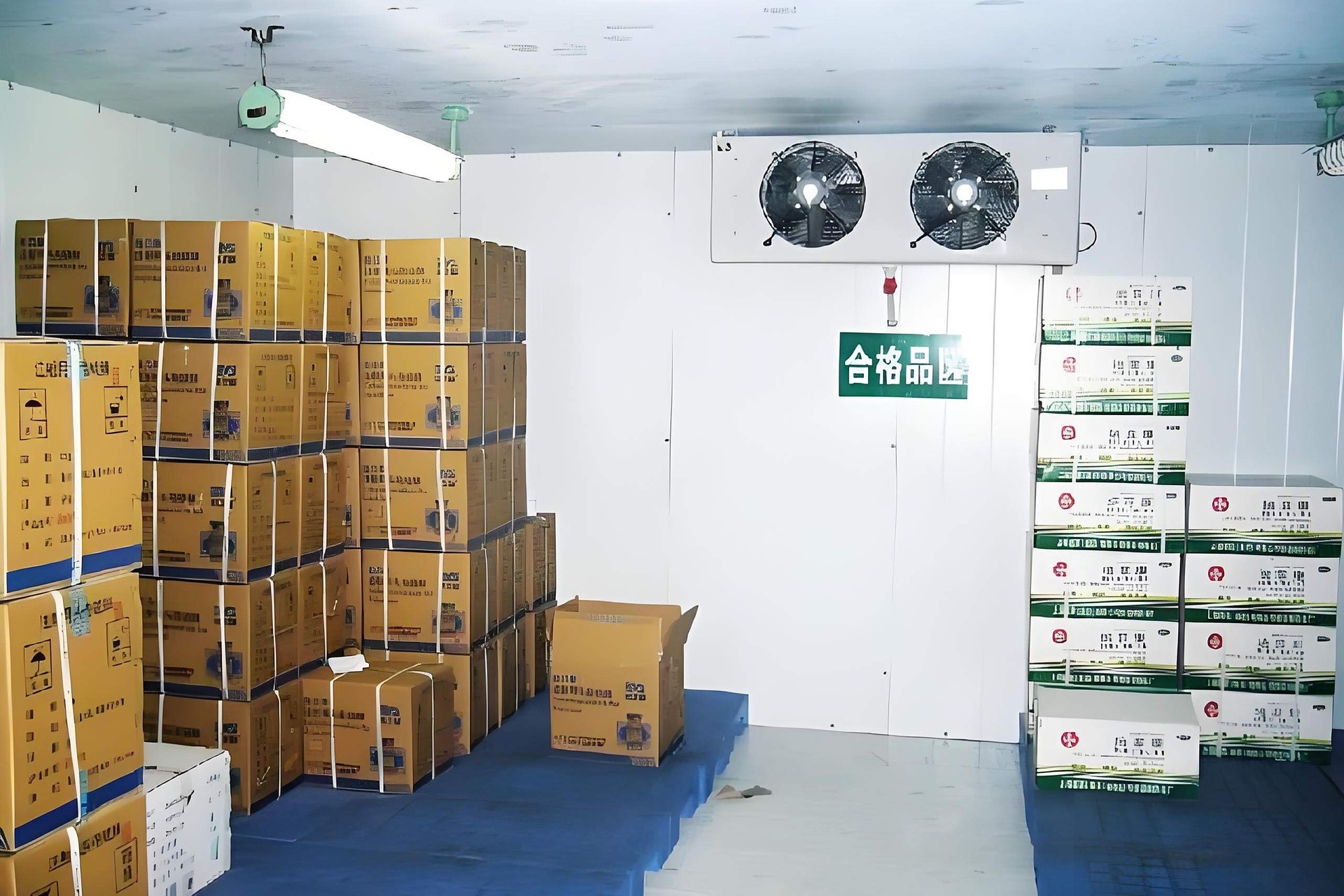 冷链运输中的冷藏集装箱装载车厘子纸箱场景