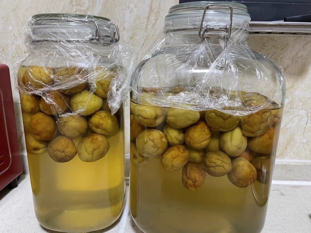 红梅果泡酒成品展示