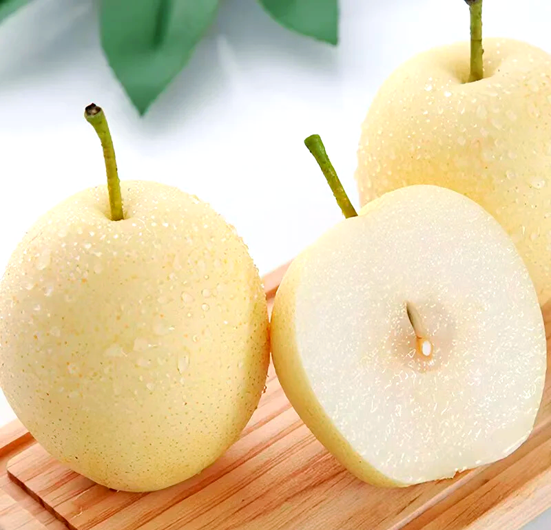 雪梨剖面图显示果心发黑与正常果肉对比