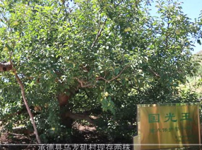 国光苹果原产地的自然生态环境