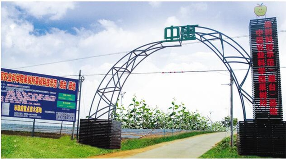 知识型场景图:农业科技馆内互动展陈设计,采用蓝白红主色调,融合日本富士山意象与中国苹果产区地图元素,强调科普性与跨文化理解 中日双语对照科普展板实景:左侧为富士山剪影与樱花元素,右侧为红富士苹果剖面图(展示细脆果肉与星状果核),中间文字框醒目呈现‘红富士苹果与富士山有关系吗?——答案:文化命名,非产地关联’