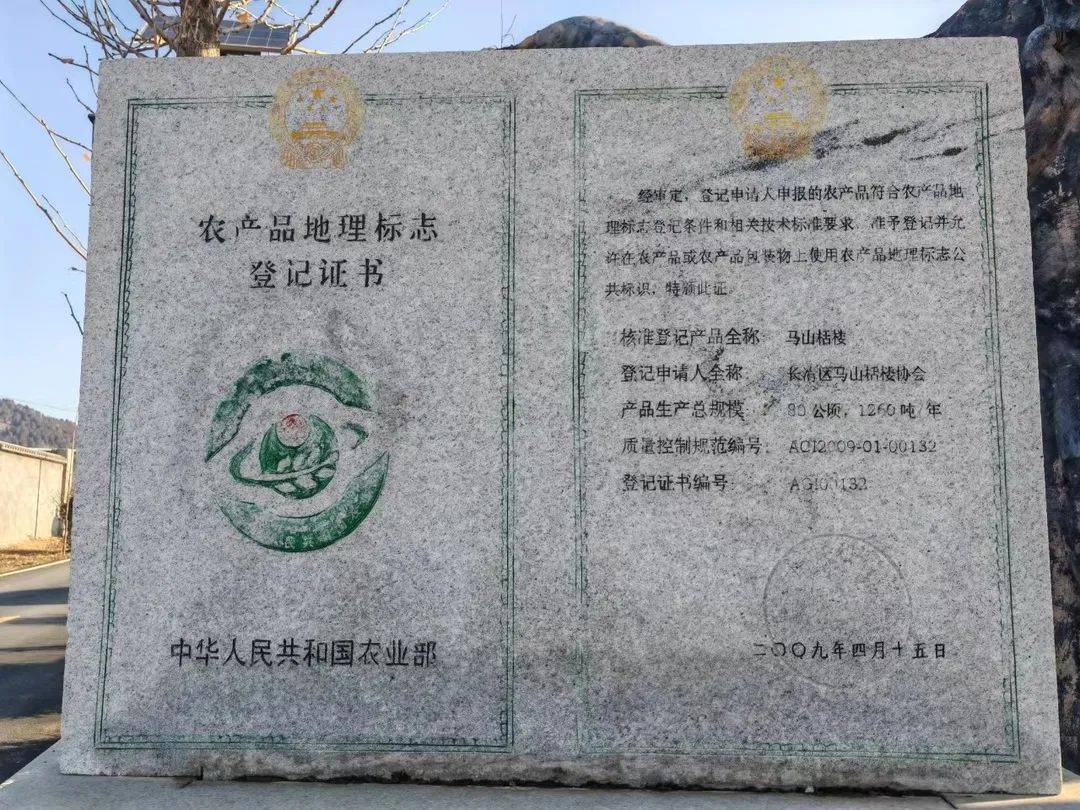 汉源贡椒地理标志认证证书与实验室检测报告局部特写：清晰可见AGI编号、检测项目“挥发油4.52%”、“铅＜0.05mg/kg”、“砷＜0.02mg/kg”等关键数据
