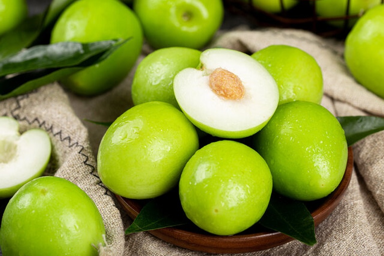 印度青枣果实特写照片