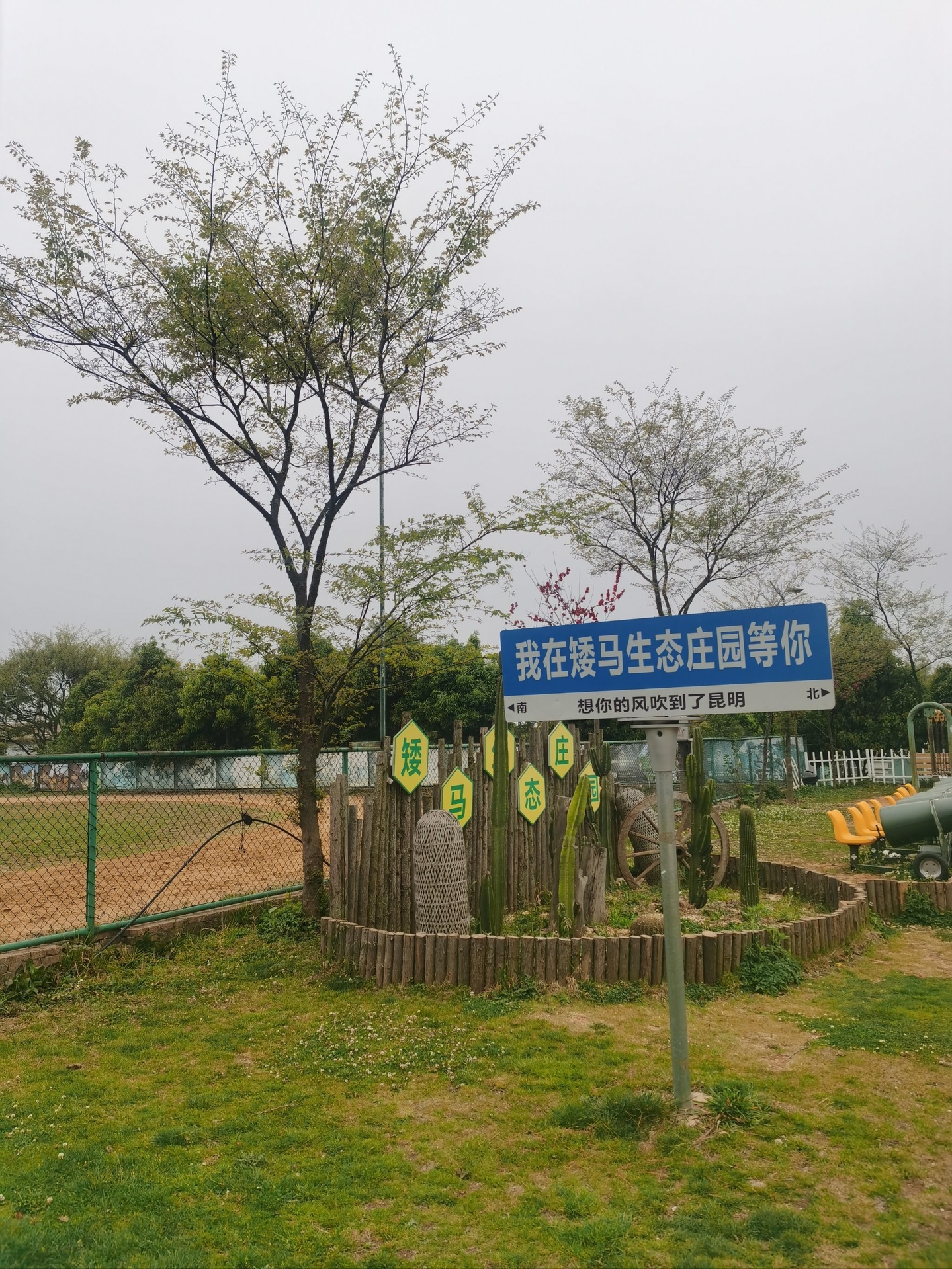 特兰矮马主题农庄全景图