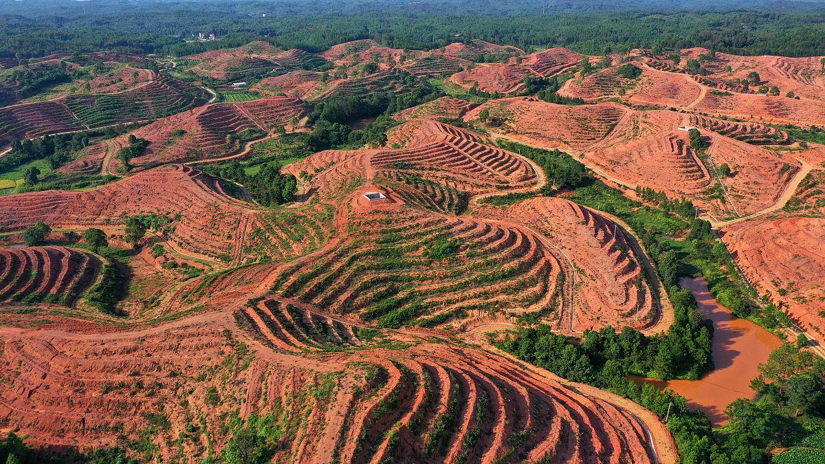 红提果园全景图