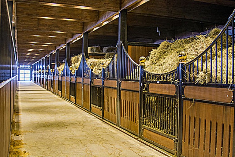 一个干净整洁的小型马厩内部,配有不锈钢饲槽、自动饮水器、木质垫料地面,墙上挂有刷具和缰绳,角落设有干草堆放区 家庭马厩内部结构示意图