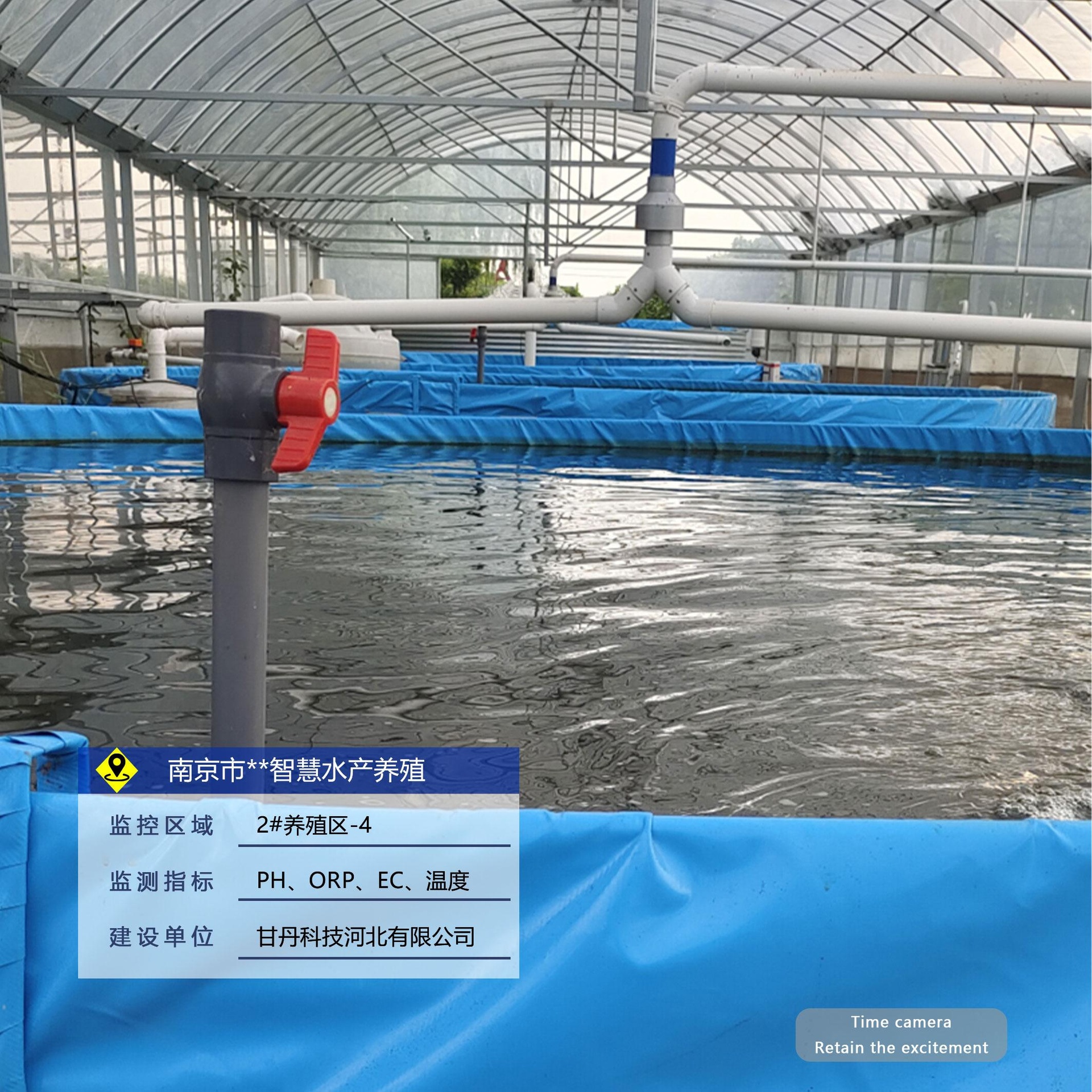 一名技术人员正在山东某矮马养殖基地使用电子耳标扫描仪记录个体采食情况,旁边放置自动称重料槽,背景为整齐排列的独立马栏,每栏配有清洁饮水碗和干草架 矮马饲喂与健康管理现场