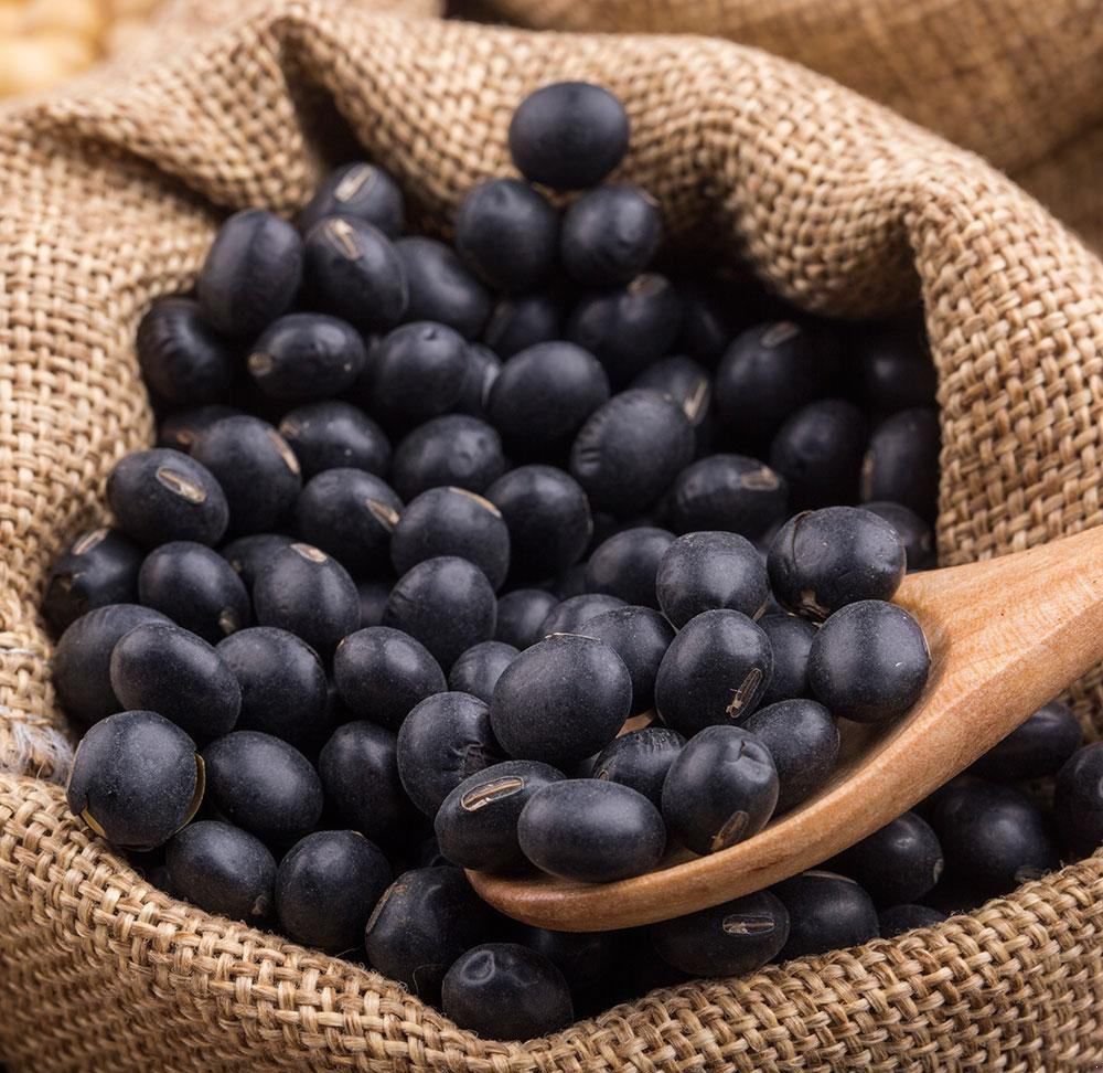 画面左侧为颗粒饱满的整粒黑豆,中间为金黄色炒黑豆成品,右侧为一杯现磨黑豆浆,背景为厨房操作台,配有量杯、研磨机和炒锅,突出两种加工形态的视觉差异 黑豆食材对比图