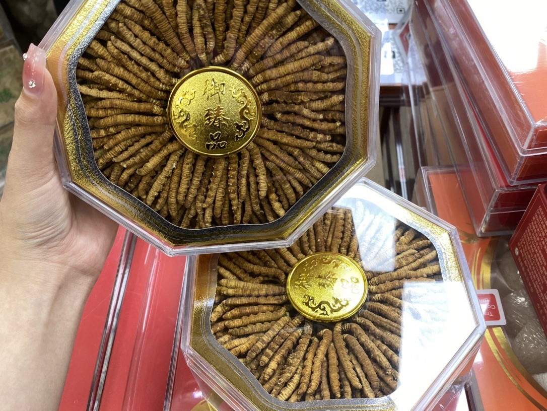 金镶玉竹品牌下的金虫草产品包装展示,突出品牌与品质标识 金虫草产品包装展示图