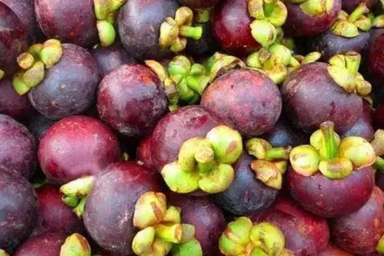 山竹实物展示图