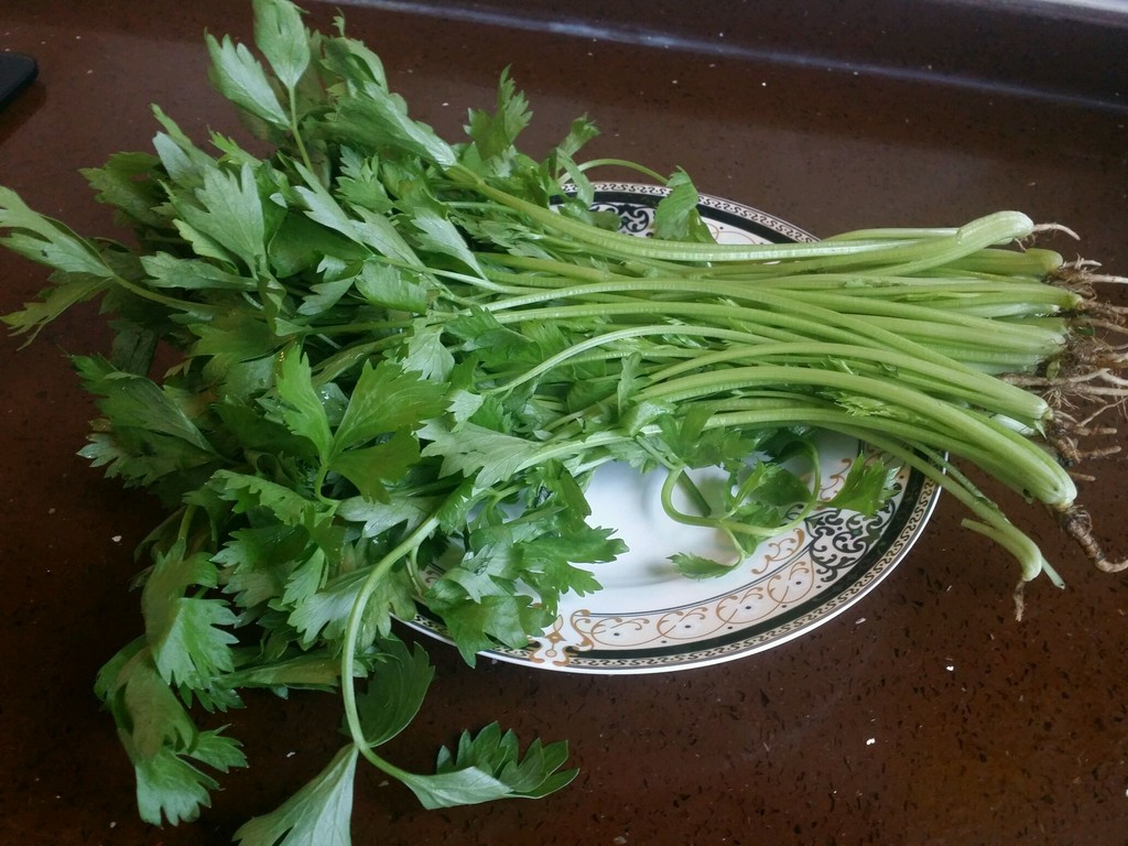 新鲜翠绿的芹菜茎叶分明,叶片嫩绿,茎部洁白带淡绿色,表面光滑有光泽,整棵芹菜整齐摆放在白色陶瓷盘中,背景为厨房操作台 芹菜特写