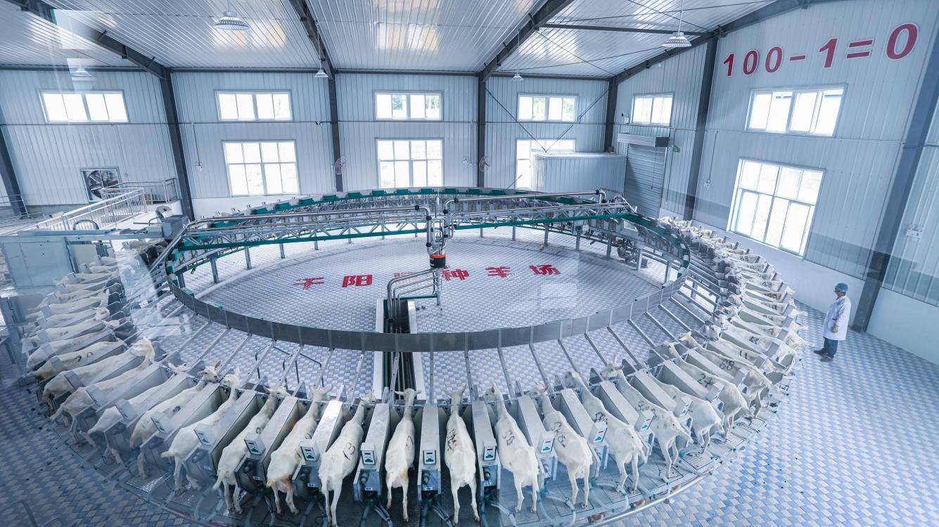 矮马乳制品生产线实景图