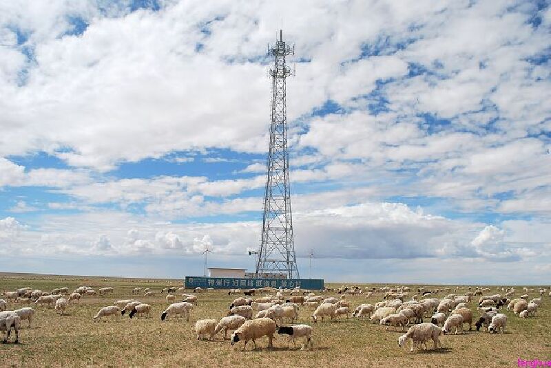 坝上草原放牧场景