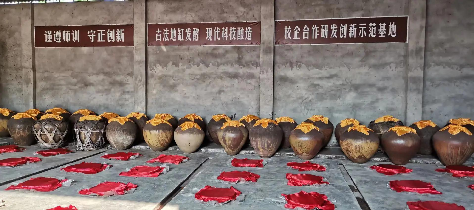 一组整齐排列的陶瓷发酵缸,缸体标有编号和发酵起始日期,工人正在检查缸口密封情况,地面清洁干燥,背景为现代化食品加工车间,体现规范化生产流程 竹笋酸生产车间发酵缸