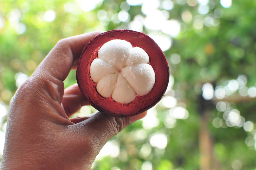 红毛丹切开特写