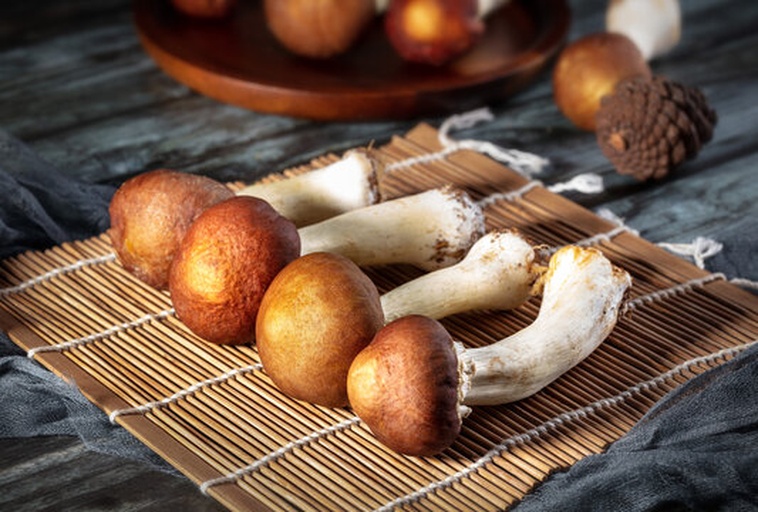 野生菌与茄子同桌摆放的农家餐桌场景