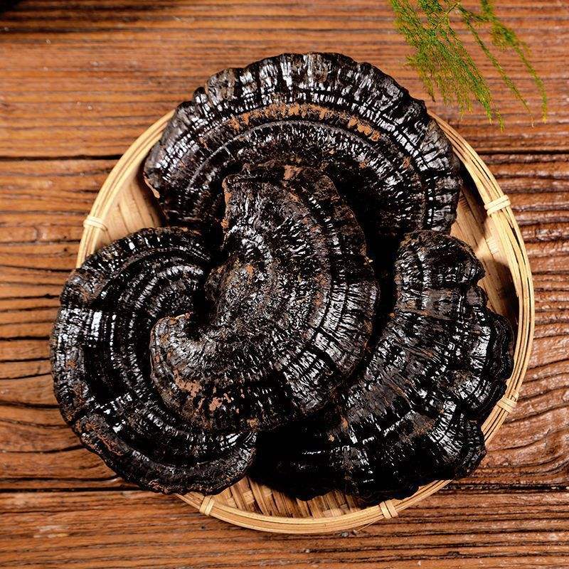 灵芝与黑豆食材组合图