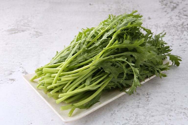 新鲜采摘的油麦菜特写