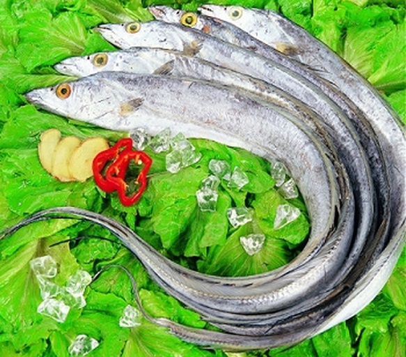 展示冰鲜带鱼烹饪后的成品,如红烧带鱼或香煎带鱼,突出其鲜嫩口感与色泽 冰鲜带鱼烹饪成品图