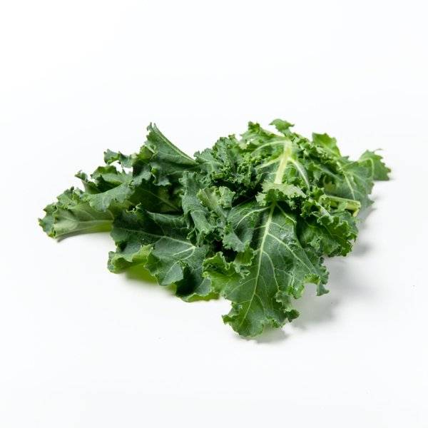 一张信息图表展示羽衣甘蓝的主要营养成分对比,包括维生素K、维生素C、钾、钙、β-胡萝卜素和膳食纤维的含量柱状图,背景为厨房台面,旁边摆放新鲜羽衣甘蓝叶片和搅拌机 羽衣甘蓝营养成分柱状图