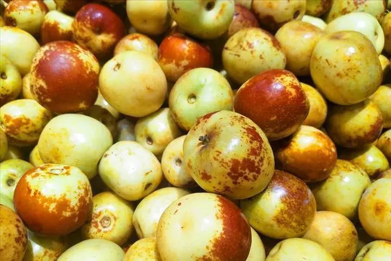 精选新鲜红枣原料