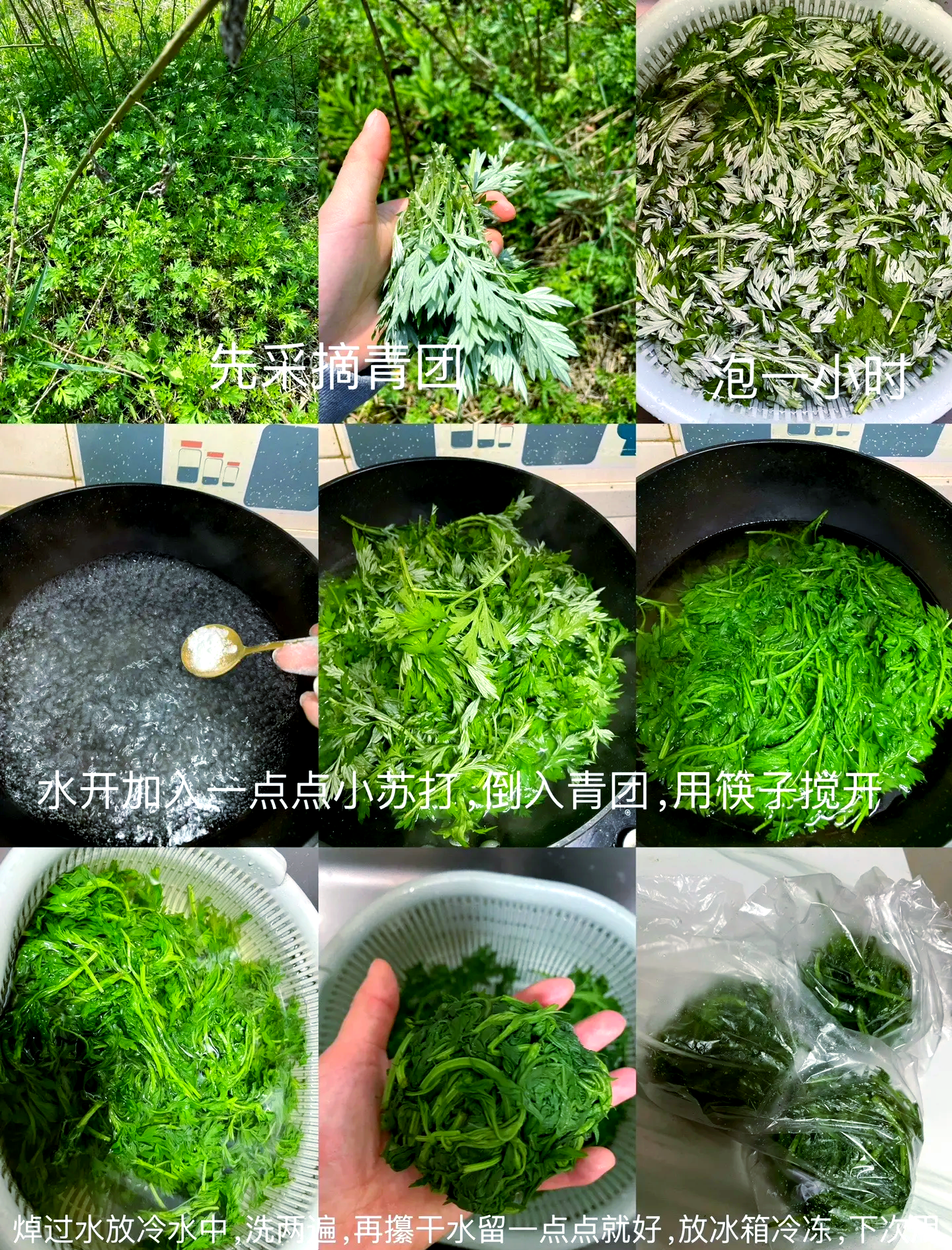 青提冰汤圆四步制作过程图:清晰展示青提预处理、汤圆揉搓与煮制、冰汤调配、最终组合装碗四个关键环节,强调操作规范性与卫生细节 青提冰汤圆制作过程分解图:左上为青提盐水浸泡,右上为糯米团揉制,左下为汤圆煮制浮起瞬间,右下为冰汤底倒入碗中动态