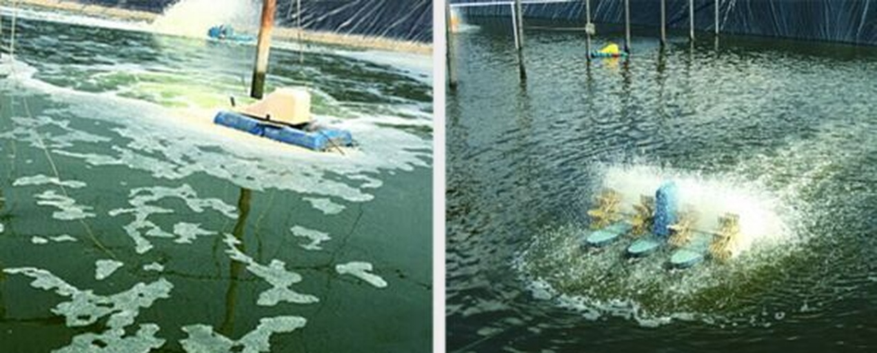 一名养殖户正在池塘边使用水质测试盒检测亚硝酸盐浓度,身后为增氧机运转的养殖水面,岸边堆放有微生物制剂和药品包装袋,反映实际生产中的科学管理过程 南美白对虾养殖池塘现场管理场景