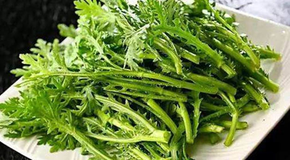 清炒野菊花嫩尖出锅瞬间